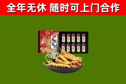 宁乡烟酒回收冬虫夏草礼盒.jpg